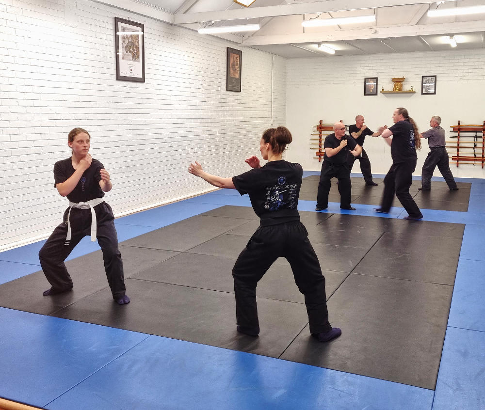 Samurai Jujutsu adult students practising techniques in pairs
